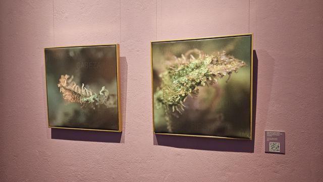 Obras de arte por Jorge Albán