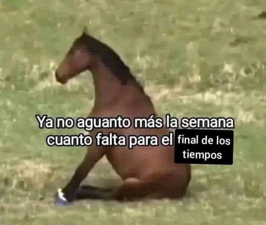 Meme de un caballo sentado con texto:

ya no aguanto más la semana, cuánto falta para el FINAL DE LOS TIEMPOS 