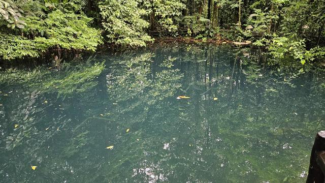 Laguna azul turquesa en medio de bosque tropical lluvioso con reflejos de la vegetación.