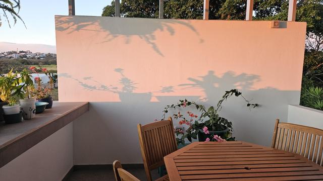 Azotea con plantas con flores y mesa de madera, iluminada con luz cálida del atardecer.