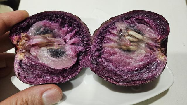 Una fruta de caimito morado abierta. (Chrysophyllum cainito)